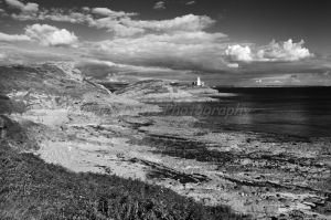 bracelet bay 1 bw.jpg